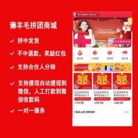 【薅羊毛拼团商城小程序V1.6.4多开版】支持合伙人分销+开放所有的菜单+修复提现bug